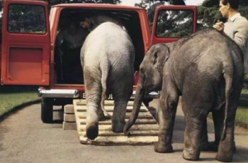 只有想不到没有做不到，轻客王者福特全顺传奇级的超级能力